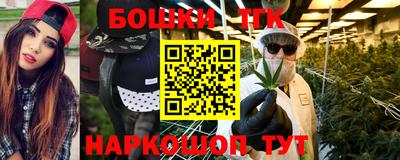 стаф Дубна